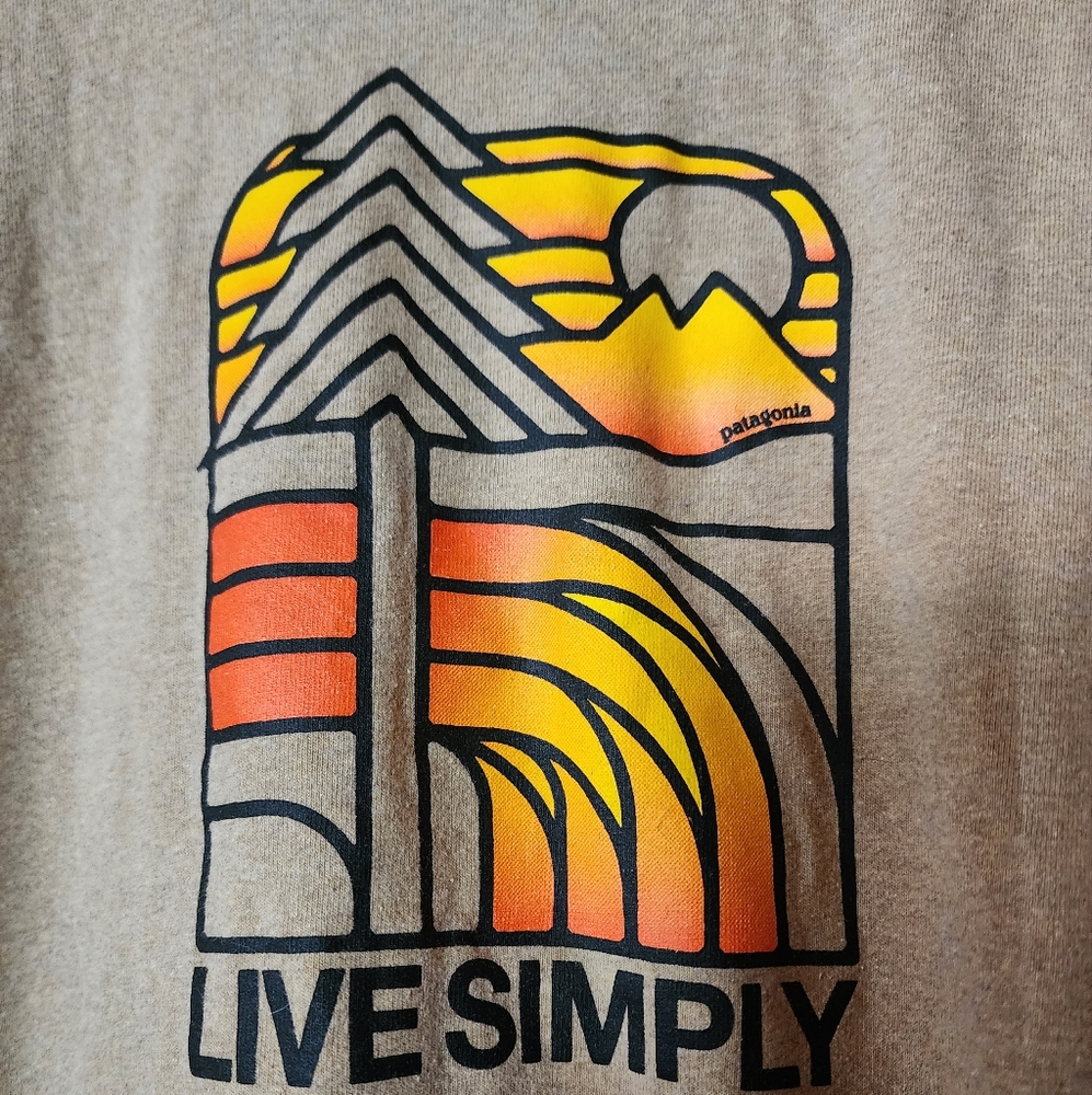 Patagonia Tee
